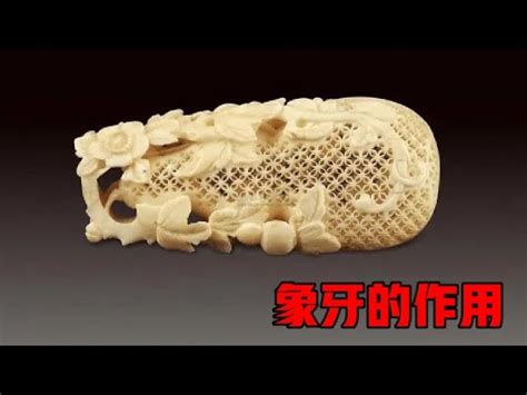 猛獁功效|【猛獁功效】揭開猛獁象牙的神秘面紗：探索其功效與作用